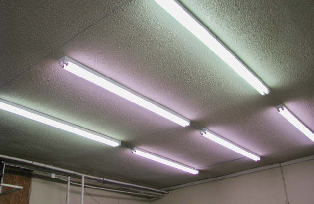 Lotsa light