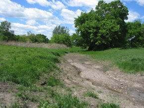The Sherman Branch